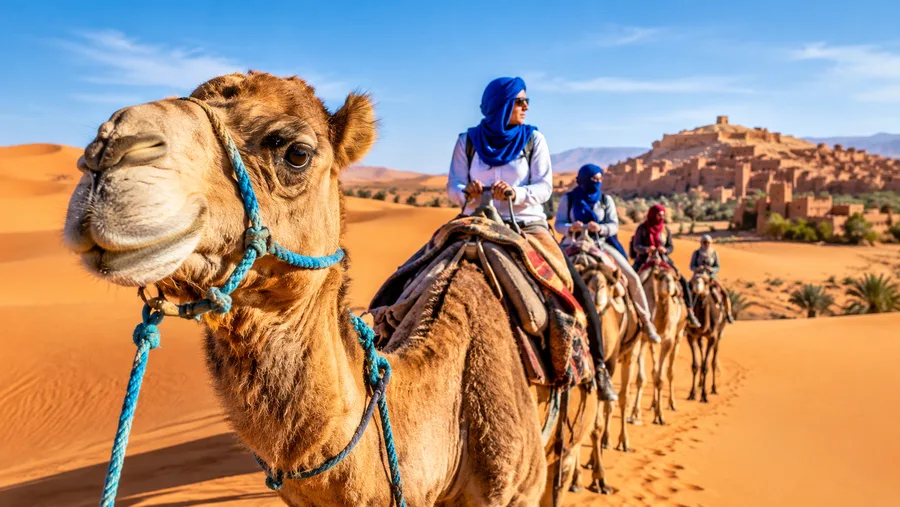 Fes Sahara-Wüstentouren: Routen, Reisepläne und Tagesausflüge