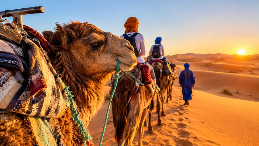 Marrakech do Fes Wycieczka Pustynna: Trasa 3-Dniowa do Merzougi